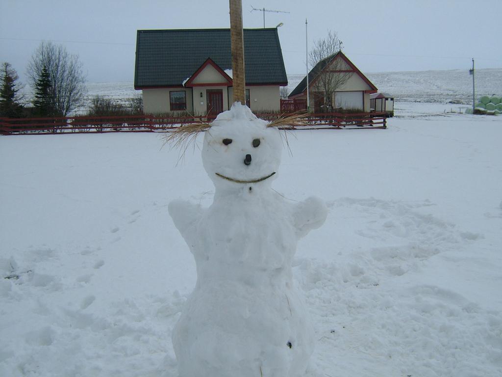 Stekkjardalur Holiday Home Svínavatn エクステリア 写真