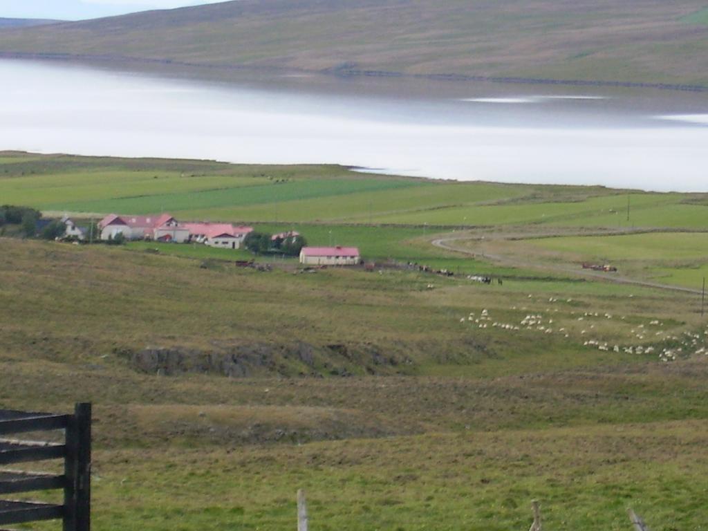 Stekkjardalur Holiday Home Svínavatn エクステリア 写真