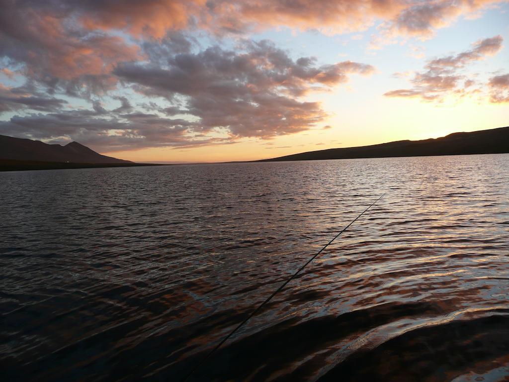 Stekkjardalur Holiday Home Svínavatn エクステリア 写真
