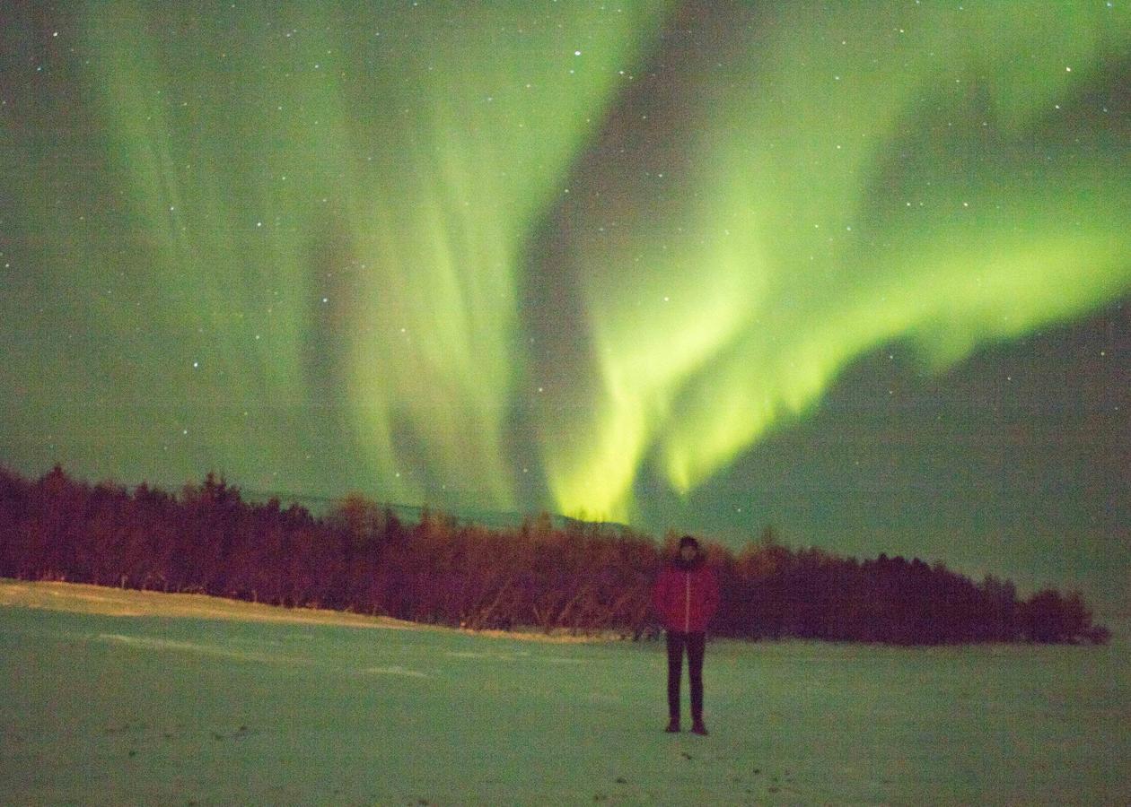 Stekkjardalur Holiday Home Svínavatn エクステリア 写真